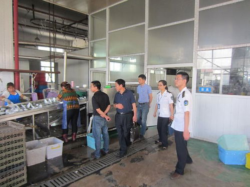 全自动洗碗机 消毒餐具配送厂的核心竞争力重塑者
